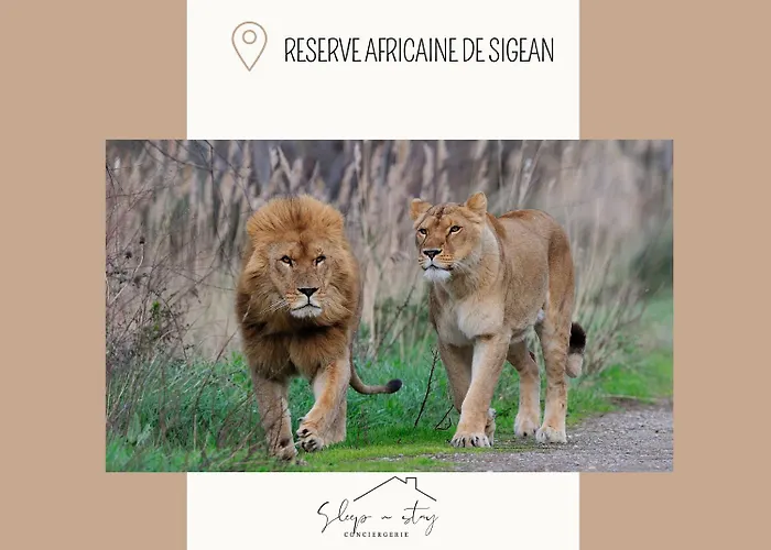 Apartment Jeanne Carcassonne